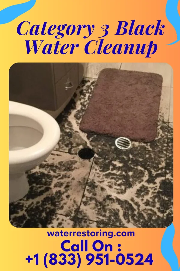 Category 3 Black Water Cleanup in Covington, OH