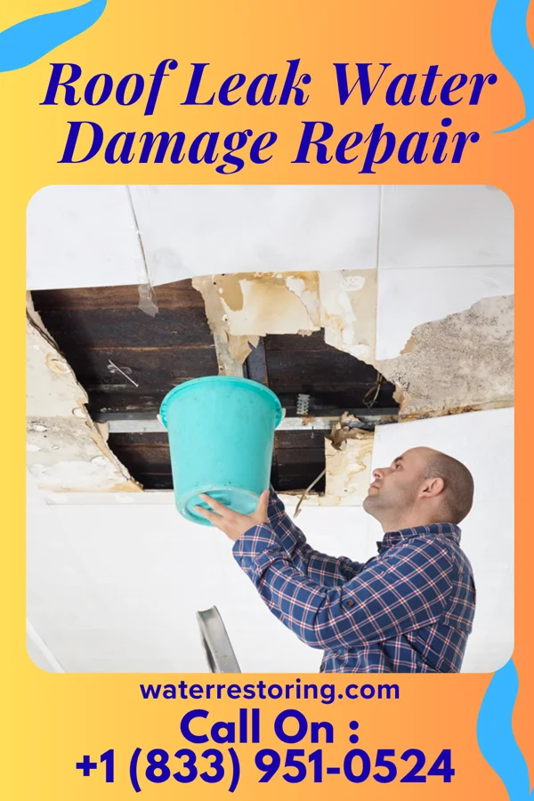 Roof Leak Water Damage Repair in Covington, OH
